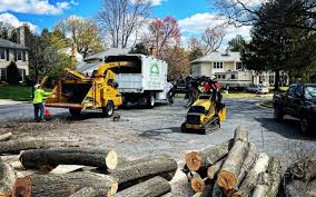 Best Grass Overseeding  in Ocean City, NJ
