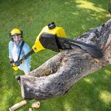 Best Artificial Turf Installation  in Ocean City, NJ